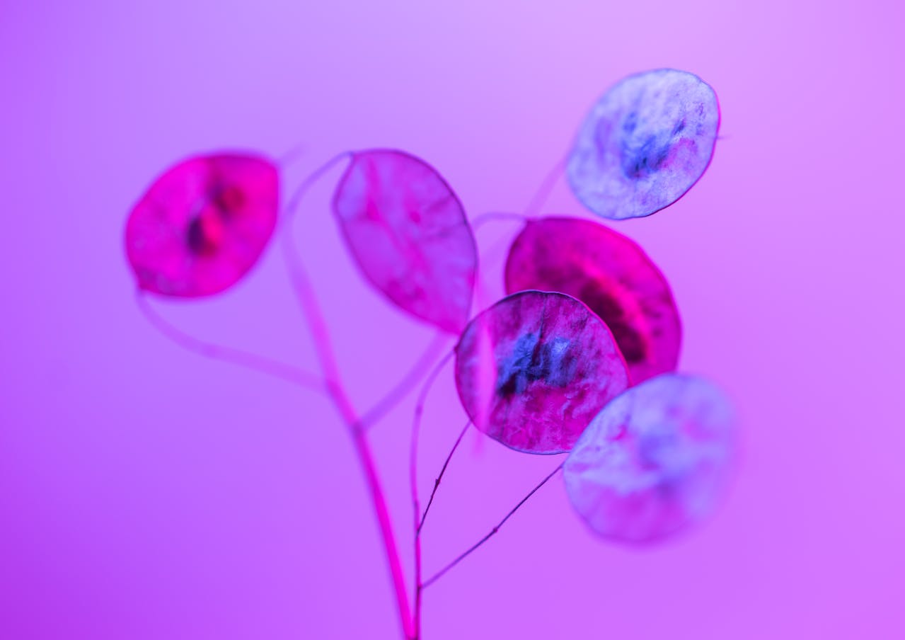 pexels-marek-piwnicki-3907296-15859756